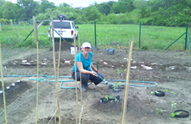 Jackie waters the plants in her Brewster Garden Plot