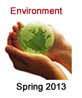 Environment icon