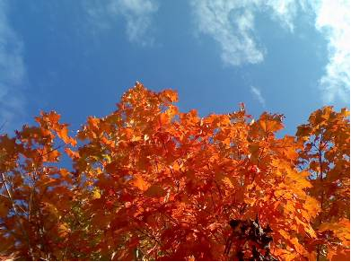 Autumn on Cape Cod