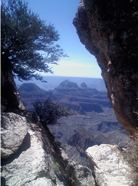 Bright Angel Canyon, Arizona. Photograph by Nicola Burnell 