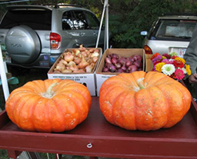 The Orleans Farmer’s Market