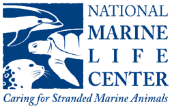 Marine Center ad