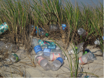 Bottles on the beach