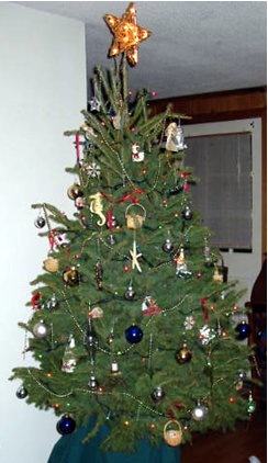 Lynne Delany's Christmas tree