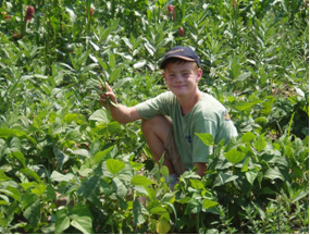 Some CSAs let customers pick their own crops.