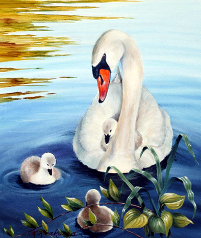 Shawme Pond Swans, by Kathryn Kleekamp