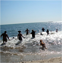 Polar Bear Plunge on the beach.