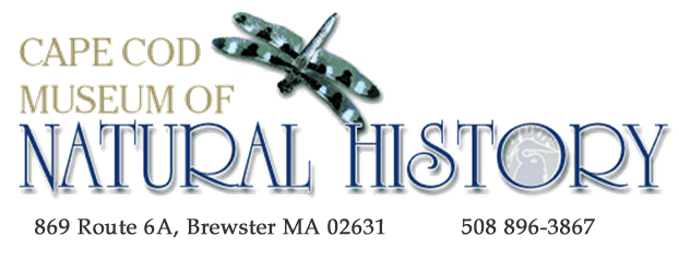 Museum of Natural History logo