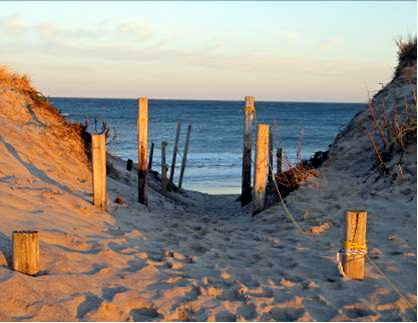  Nauset Beach Path