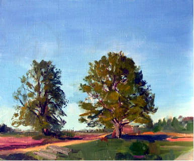 Pair of Oak Trees in Evening, Eoste, Estonia